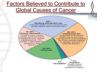 Factors Believed to Contribute to
Global Causes of Cancer
 