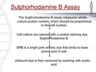 Sulphorhodamine B Assay
The Sulphorhodamine B assay measures whole-
culture protein content, which should be proportional
to the cell number.
Cell culture are stained with a protein staining dye,
Sulphorhodamine B.
SRB is a bright pink anionic dye that binds to basic
amino acid of cell.
Unbound dye is then removed by washing with acetic
acid.
 