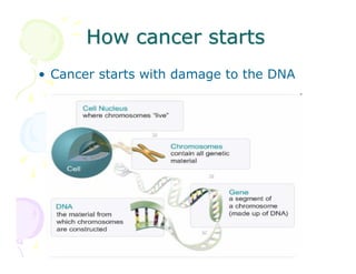 How cancer starts
• Cancer starts with damage to the DNA

 