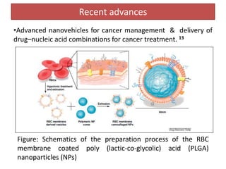 Recent advances
•Advanced nanovehicles for cancer management & delivery of
drug–nucleic acid combinations for cancer treatment. 13
Figure: Schematics of the preparation process of the RBC
membrane coated poly (lactic-co-glycolic) acid (PLGA)
nanoparticles (NPs)
 