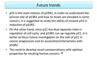 Future trends
• p53 is the main inducer of p53R2, in order to understand the
precise role of p53R2 and how its levels are elevated in some
cancers, it is suggested to study the ability of mutant p53 in
induction of p53R2.
• On the other hand, since p21 has dual opposite roles in
regulation of cell cycle, and p53R2 can up-regulate p21, it is
better to focus future investigation on the role of p21 in
cancer progression and its association/interactions with
p53R2.
• The need to develop novel sonosensitizers with optimal
properties for treating human cancers. 10
 