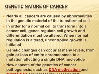 GENETIC NATURE OF CANCER
 Nearly all cancers are caused by abnormalities
in the genetic material of the transformed cell
 In order for a normal cell to transform into a
cancer cell, genes regulate cell growth and
differentiation must be altered. When normal
regulation is altered, uncontrolled growth is
initiated
 Genetic changes can occur at many levels, from
gain or loss of entire chromosomes to a
mutation affecting a single DNA nucleotide
 New aspects of the genetics of cancer
pathogenesis, such as DNA methylation and
 