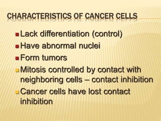 CHARACTERISTICS OF CANCER CELLS
 Lack differentiation (control)
 Have abnormal nuclei
 Form tumors
 Mitosis controlled by contact with
neighboring cells – contact inhibition
 Cancer cells have lost contact
inhibition
 