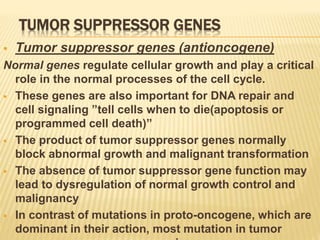 TUMOR SUPPRESSOR GENES
 Tumor suppressor genes (antioncogene)
Normal genes regulate cellular growth and play a critical
role in the normal processes of the cell cycle.
 These genes are also important for DNA repair and
cell signaling ”tell cells when to die(apoptosis or
programmed cell death)”
 The product of tumor suppressor genes normally
block abnormal growth and malignant transformation
 The absence of tumor suppressor gene function may
lead to dysregulation of normal growth control and
malignancy
 In contrast of mutations in proto-oncogene, which are
dominant in their action, most mutation in tumor
 