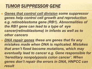 TUMOR SUPPRESSOR GENE
 Genes that control cell division some suppressor
genes help control cell growth and reproduction
e.g. retinoblastoma gene (RB1). Abnormalities of
the RB1 gene can lead to a type of eye
cancer(retinoblastoma) in infants as well as to
other cancers
 DNA repair genes these are genes that fix any
mistakes made when DNA is replicated. Mistakes
that aren’t fixed become mutations, which may
eventually lead to cancer e.g. Gene responsible for
‘hereditary nonpolyposis colon cancer’. When
genes don’t repair the errors in DNA, HNPCC can
result
 