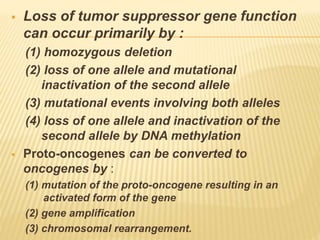  Loss of tumor suppressor gene function
can occur primarily by :
(1) homozygous deletion
(2) loss of one allele and mutational
inactivation of the second allele
(3) mutational events involving both alleles
(4) loss of one allele and inactivation of the
second allele by DNA methylation
 Proto-oncogenes can be converted to
oncogenes by :
(1) mutation of the proto-oncogene resulting in an
activated form of the gene
(2) gene amplification
(3) chromosomal rearrangement.
 