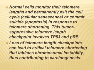  Normal cells monitor their telomere
lengths and permanently exit the cell
cycle (cellular senescence) or commit
suicide (apoptosis) in response to
telomere shortening. This tumor-
suppressive telomere length
checkpoint involves TP53 and pRB.
 Loss of telomere length checkpoints
can lead to critical telomere shortening
that initiates chromosomal instability,
thus contributing to carcinogenesis.
 