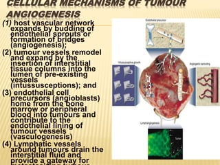 CELLULAR MECHANISMS OF TUMOUR
ANGIOGENESIS
(1) host vascular network
expands by budding of
endothelial sprouts or
formation of bridges
(angiogenesis);
(2) tumour vessels remodel
and expand by the
insertion of interstitial
tissue columns into the
lumen of pre-existing
vessels
(intussusceptions); and
(3) endothelial cell
precursors (angioblasts)
home from the bone
marrow or peripheral
blood into tumours and
contribute to the
endothelial lining of
tumour vessels
(vasculogenesis)
(4) Lymphatic vessels
around tumours drain the
interstitial fluid and
provide a gateway for
 