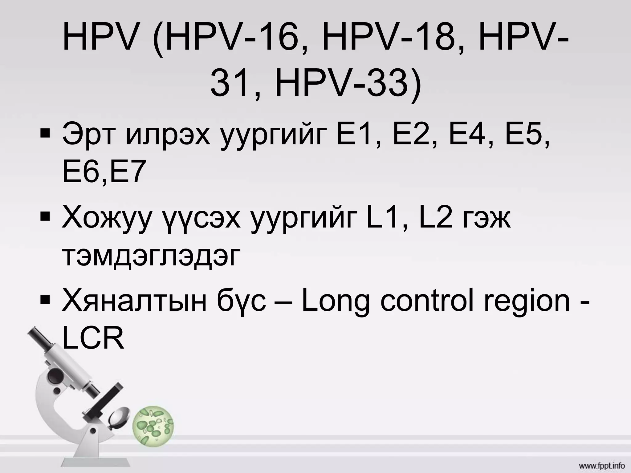 умайн хүзүүний хорт хавдар | PPT