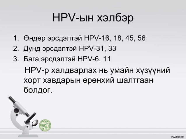 умайн хүзүүний хорт хавдар | PPT