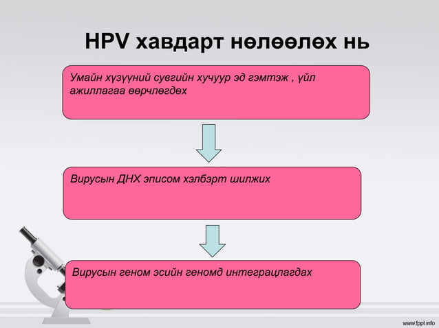 умайн хүзүүний хорт хавдар | PPT