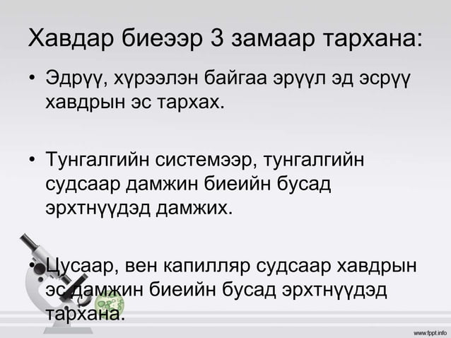 умайн хүзүүний хорт хавдар | PPT