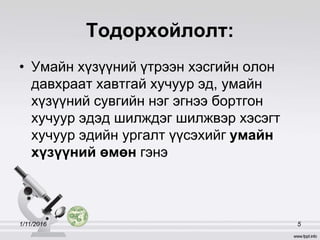 Тодорхойлолт:
• Умайн хүзүүний үтрээн хэсгийн олон
давхраат хавтгай хучуур эд, умайн
хүзүүний сувгийн нэг эгнээ бортгон
хучуур эдэд шилждэг шилжвэр хэсэгт
хучуур эдийн ургалт үүсэхийг умайн
хүзүүний өмөн гэнэ
1/11/2016 5
 