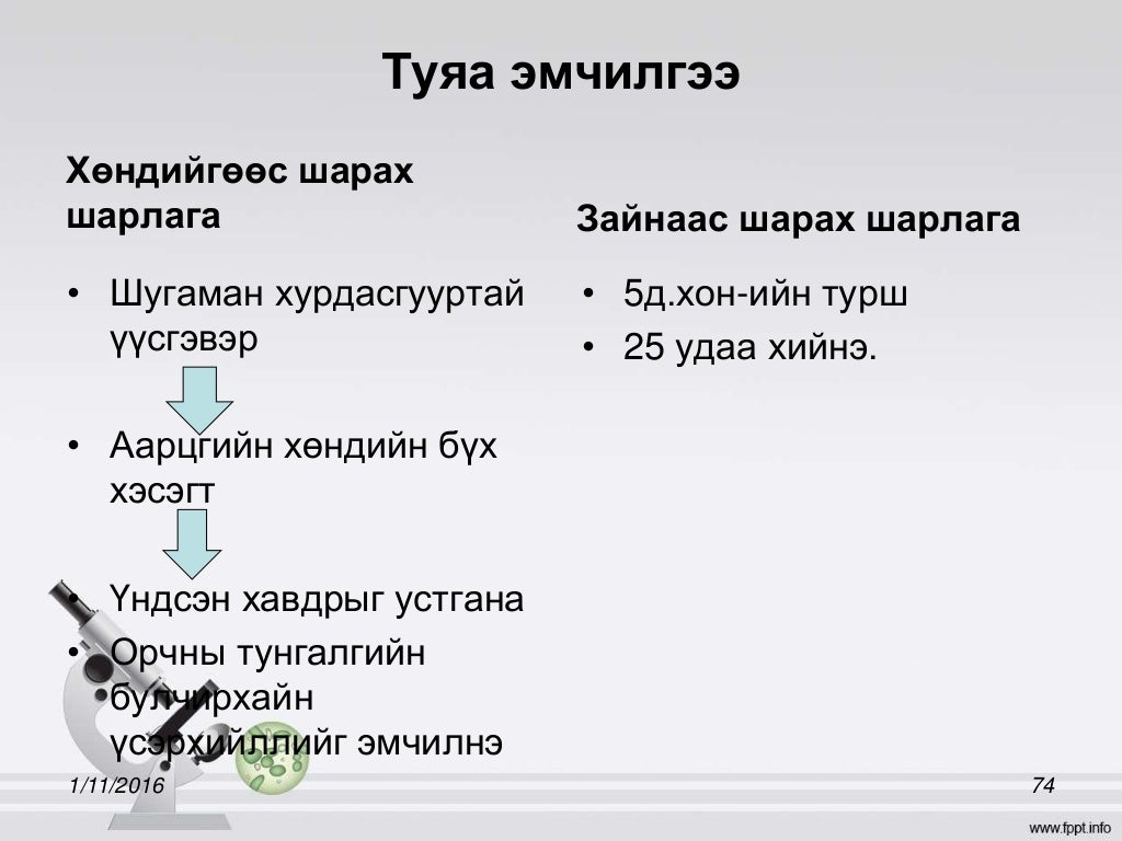 умайн хүзүүний хорт хавдар