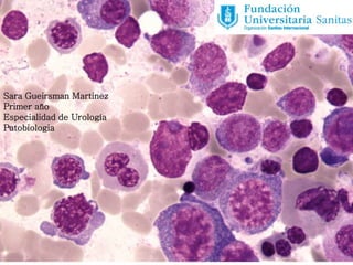 Sara Gueirsman Martinez
Primer año
Especialidad de Urología
Patobiologia
 