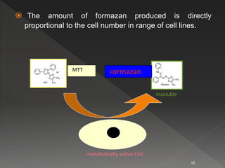  The amount of formazan produced is directly
proportional to the cell number in range of cell lines.
10
MTT Formazan
metabolically active Cell
Insoluble
 