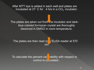 After MTT dye is added in each well and plates are
incubated at 37° C for 4 hrs in a CO2 incubator.
The plates are taken out from the incubator and dark-
blue colored formazan crystal are thoroughly
dissolved in DMSO in room temperature.
The plates are then read on a ELISA reader at 570
nm
To calculate the percent cell viability with respect to
control is calculated .
12
 
