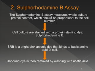 The Sulphorhodamine B assay measures whole-culture
protein content, which should be proportional to the cell
number.
Cell culture are stained with a protein staining dye,
Sulphorhodamine B.
SRB is a bright pink anionic dye that binds to basic amino
acid of cell.
Unbound dye is then removed by washing with acetic acid.
15
 