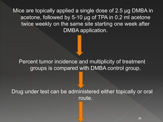 Mice are topically applied a single dose of 2.5 µg DMBA in
acetone, followed by 5-10 µg of TPA in 0.2 ml acetone
twice weekly on the same site starting one week after
DMBA application.
Percent tumor incidence and multiplicity of treatment
groups is compared with DMBA control group.
Drug under test can be administered either topically or oral
route.
26
 