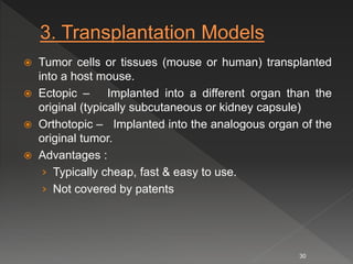  Tumor cells or tissues (mouse or human) transplanted
into a host mouse.
 Ectopic – Implanted into a different organ than the
original (typically subcutaneous or kidney capsule)
 Orthotopic – Implanted into the analogous organ of the
original tumor.
 Advantages :
› Typically cheap, fast & easy to use.
› Not covered by patents
30
 