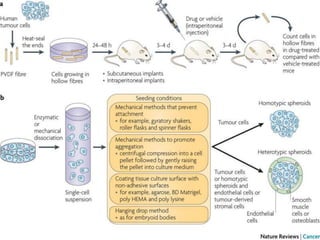 SCREENING OF ANTI CANCER DRUGS | PPTX