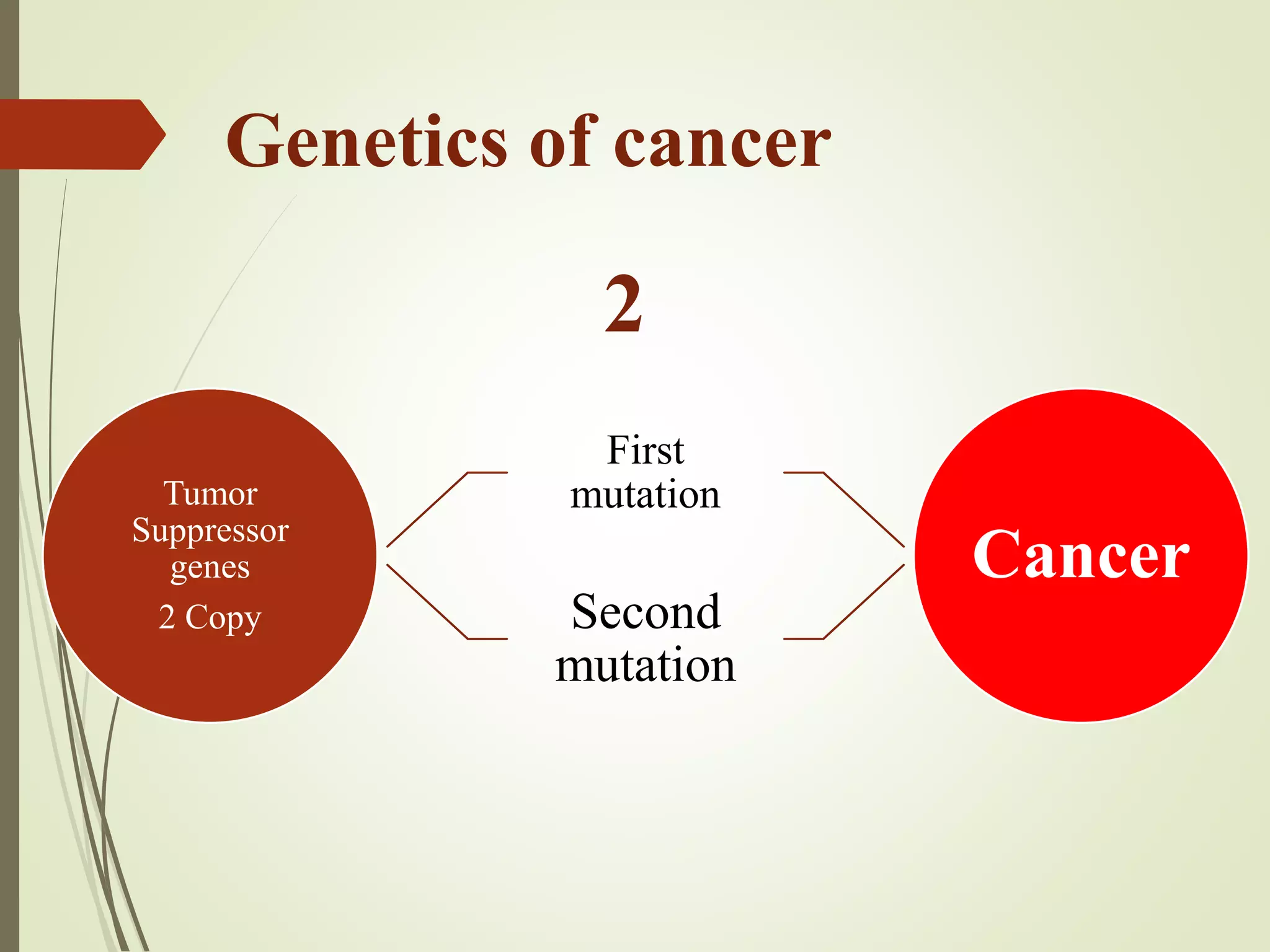 Genetics of cancer
Tumor
Suppressor
genes
2 Copy
First
mutation
Second
mutation
Cancer
2
 