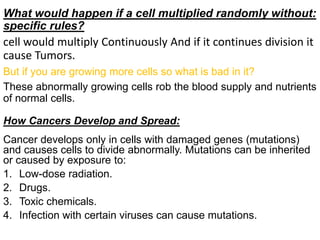 What would happen if a cell multiplied randomly without:
specific rules?
cell would multiply Continuously And if it continues division it
cause Tumors.
But if you are growing more cells so what is bad in it?
These abnormally growing cells rob the blood supply and nutrients
of normal cells.
How Cancers Develop and Spread:
Cancer develops only in cells with damaged genes (mutations)
and causes cells to divide abnormally. Mutations can be inherited
or caused by exposure to:
1. Low-dose radiation.
2. Drugs.
3. Toxic chemicals.
4. Infection with certain viruses can cause mutations.
 