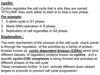 cyclin:
Cyclins regulates the cell cycle that is why they are named
"CYCLINS“ they work either to start or to stop a new phase.
For example:
1. It starts cycle in G1 phase.
2. Starts DNA replication in S phase.
3. Replication of cell organelles in G2 phase.
Explanation :
The main mechanism of the process of the cell cycle check points
is through the regulation of the activities by a family of protein
kinases known as cyclin dependent kinases (CDKs) which bind
different classes of regulatory proteins known as cyclins , and a
specific cyclin-CDK complexes is being formed and activated at
different phases of the cell cycle
These complexes further in turn activate different down stream
targets to promote or prevent cell cycle progression .
 