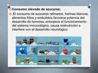 O Consumo elevado de azucares:
O El consumo de azúcares refinados, harinas blancas,
alimentos fritos y embutidos favorece potencia del
desarrollo de tumores, entorpece el funcionamiento
del sistema inmunológico, causa malnutrición e
interfiere con el desarrollo neurológico.
 