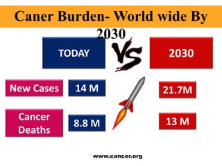 TODAY 2030
New Cases 14 M 21.7M
Cancer
Deaths
8.8 M 13 M
www.cancer.org
Caner Burden- World wide By
2030
 