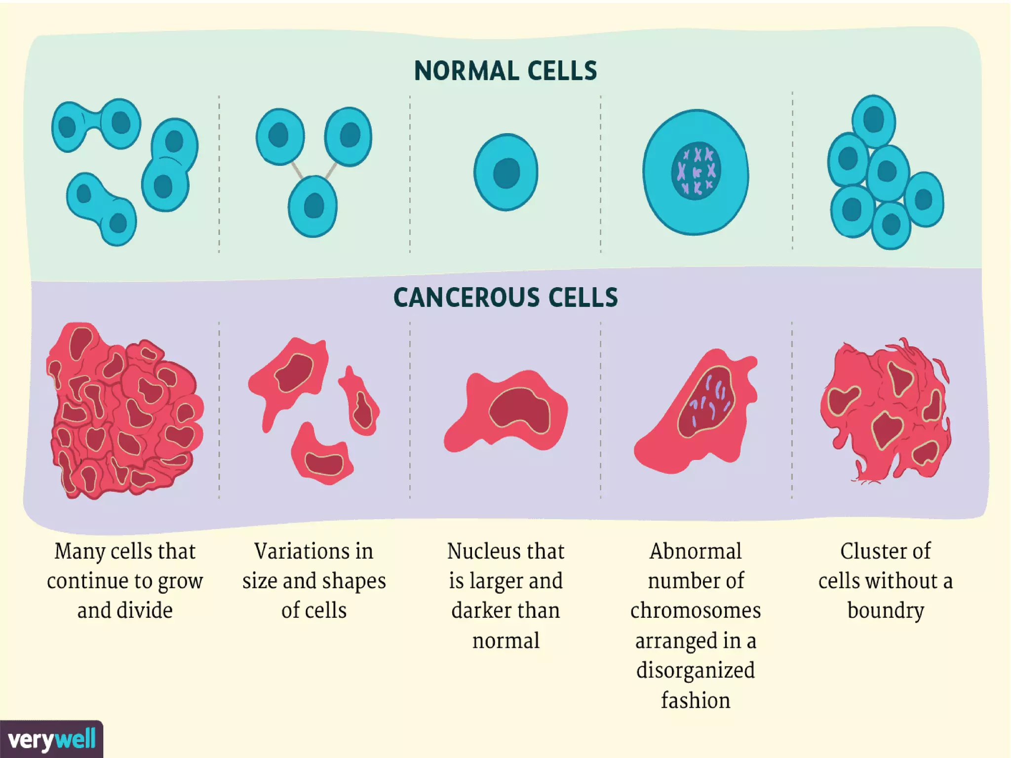 Cancer - Types ,spread and properties | PPTX