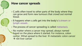 › C.cells often travel to other parts of the body where they
can grow and form new tumours that crowd out normal
tissue.
› It happens when c.cells get into the body’s b.stream or
lymph vessels .
› The process of cancer spreading is called metastasis.
› No matter where a cancer may spread, always named
based on the place where it started. For instance, colon
cancer that spread to the liver  metastatic colon cancer
 not liver cancer
How cancer spreads
 