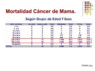 Mortalidad Cáncer de Mama.
RHNM 2003
 