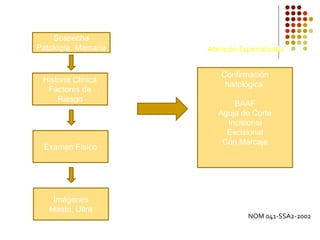 Sospecha
Patología Mamaria
Historia Clínica
Factores de
Riesgo
Examen Físico
Imágenes
Masto, Ultra
Confirmación
histológica:
BAAF
Aguja de Corte
Incisional
Escisional
Con Marcaje
NOM 041-SSA2-2002
Atención Especializada
 