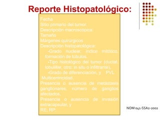 Fecha
Sitio primario del tumor.
Descripción macroscópica:
Tamaño
Márgenes quirúrgicos
Descripción histopatológica:
-Grado nuclear, índice mitótico,
formación de túbulos.
-Tipo histológico del tumor (ductal,
lobulillar, otro; in situ o infiltrante),
-Grado de diferenciación, y PVL
Multicentricidad.
Presencia o ausencia de metástasis
ganglionares, número de ganglios
afectados,
Presencia o ausencia de invasión
extracapsular, y
RE; RP;
Reporte Histopatológico:
NOM 041-SSA2-2002
 