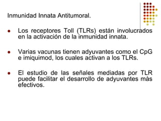 Inmunidad Innata Antitumoral.
 Los receptores Toll (TLRs) están involucrados
en la activación de la inmunidad innata.
 Varias vacunas tienen adyuvantes como el CpG
e imiquimod, los cuales activan a los TLRs.
 El estudio de las señales mediadas por TLR
puede facilitar el desarrollo de adyuvantes màs
efectivos.
 