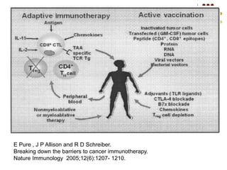 E Pure , J P Allison and R D Schreiber.
Breaking down the barriers to cancer immunotherapy.
Nature Immunology 2005;12(6):1207- 1210.
 