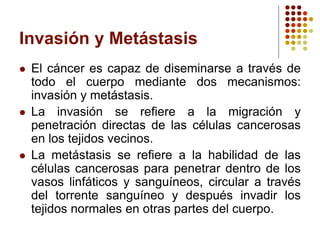 Invasión y Metástasis
 El cáncer es capaz de diseminarse a través de
todo el cuerpo mediante dos mecanismos:
invasión y metástasis.
 La invasión se refiere a la migración y
penetración directas de las células cancerosas
en los tejidos vecinos.
 La metástasis se refiere a la habilidad de las
células cancerosas para penetrar dentro de los
vasos linfáticos y sanguíneos, circular a través
del torrente sanguíneo y después invadir los
tejidos normales en otras partes del cuerpo.
 