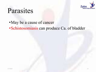 Parasites
•May be a cause of cancer
•Schistosomiasis can produce Ca. of bladder
1/27/2023 23
 