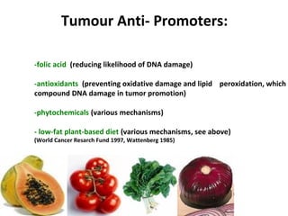 © CNM; by Gosia Desmond MA, MBS, BSc
Nut Med Jo Gamble BA (hons) Dip CNM
-folic acid (reducing likelihood of DNA damage)
-antioxidants (preventing oxidative damage and lipid peroxidation, which
compound DNA damage in tumor promotion)
-phytochemicals (various mechanisms)
- low-fat plant-based diet (various mechanisms, see above)
(World Cancer Resarch Fund 1997, Wattenberg 1985)
© Gosia Desmond MA, MBS, BSc Nut Med
Tumour Anti- Promoters:
 