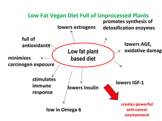 stimulates
immune
response
Low fat plant
based diet
lowers IGF-1
full of
antioxidants
promotes synthesis of
detoxification enzymes
lowers insulin
lowers estrogens
lowers AGE,
oxidative damage
minimizes
carcinogen exposure
low in Omega 6
creates powerful
anti-cancer
environment
Low Fat Vegan Diet Full of Unprocessed Plants
 