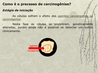 Como é o precesso de carcinogênise?
As células sofrem o efeito dos agentes cancerígenos ou
carcinógenos.
Nesta fase as células se encontram, geneticamente
alteradas, porém ainda não é possível se detectar um tumor
clinicamente.
Estágio de iniciação
 