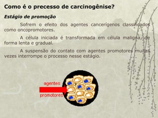 Como é o precesso de carcinogênise?
Sofrem o efeito dos agentes cancerígenos classificados
como oncopromotores.
A célula iniciada é transformada em célula maligna, de
forma lenta e gradual.
A suspensão do contato com agentes promotores muitas
vezes interrompe o processo nesse estágio.
Estágio de promoção
 