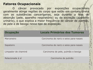 Fatores Ocupacionais
O câncer provocado por exposições ocupacionais
geralmente atinge regiões do corpo que estão em contato direto
com as substâncias cancerígenas, seja durante a fase de
absorção (pele, aparelho respiratório) ou de excreção (aparelho
urinário), o que explica a maior freqüência de câncer de pulmão,
de pele e de bexiga nesse tipo de exposição.
Ocupação Locais Primários dos Tumores
Marceneiro Carcinoma de nariz e seios para-nasais
Sapateiro Carcinoma de nariz e seios para-nasais
Limpador de chaminé Carcinoma de pele, pulmão e bexiga
Relacionada à sí Carcinoma de pulmão
 