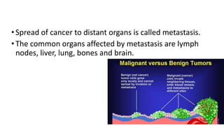 cancer.pptx cancer awareness and treatment modalities | PPTX