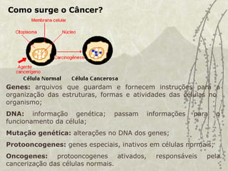 Como surge o Câncer?
Genes: arquivos que guardam e fornecem instruções para a
organização das estruturas, formas e atividades das células no
organismo;
DNA: informação genética; passam informações para o
funcionamento da célula;
Mutação genética: alterações no DNA dos genes;
Protooncogenes: genes especiais, inativos em células normais;
Oncogenes: protooncogenes ativados, responsáveis pela
cancerização das células normais.
 