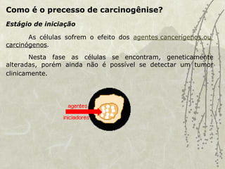 Como é o precesso de carcinogênise?
As células sofrem o efeito dos agentes cancerígenos ou
carcinógenos.
Nesta fase as células se encontram, geneticamente
alteradas, porém ainda não é possível se detectar um tumor
clinicamente.
Estágio de iniciação
 