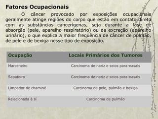 Fatores Ocupacionais
O câncer provocado por exposições ocupacionais
geralmente atinge regiões do corpo que estão em contato direto
com as substâncias cancerígenas, seja durante a fase de
absorção (pele, aparelho respiratório) ou de excreção (aparelho
urinário), o que explica a maior freqüência de câncer de pulmão,
de pele e de bexiga nesse tipo de exposição.
Ocupação Locais Primários dos Tumores
Marceneiro Carcinoma de nariz e seios para-nasais
Sapateiro Carcinoma de nariz e seios para-nasais
Limpador de chaminé Carcinoma de pele, pulmão e bexiga
Relacionada à sí Carcinoma de pulmão
 