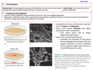Cancer Biology (Introduction, features of cancer cells, properties of ...
