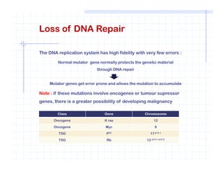 Loss of DNA Repair
The DNA replication system has high fidelity with very few errors :
Normal mutator gene normally protects the genetic material
through DNA repair
Mutator genes get error prone and allows the mutation to accumulate
Note : if these mutations involve oncogenes or tumour supressor
genes, there is a greater possibility of developing malignancy
Class Gene Chromosome
Oncogene K ras 12
Oncogene Myc 8
TSG P53 17 p13.1
TSG Rb 13 q14.1 q14.2
 